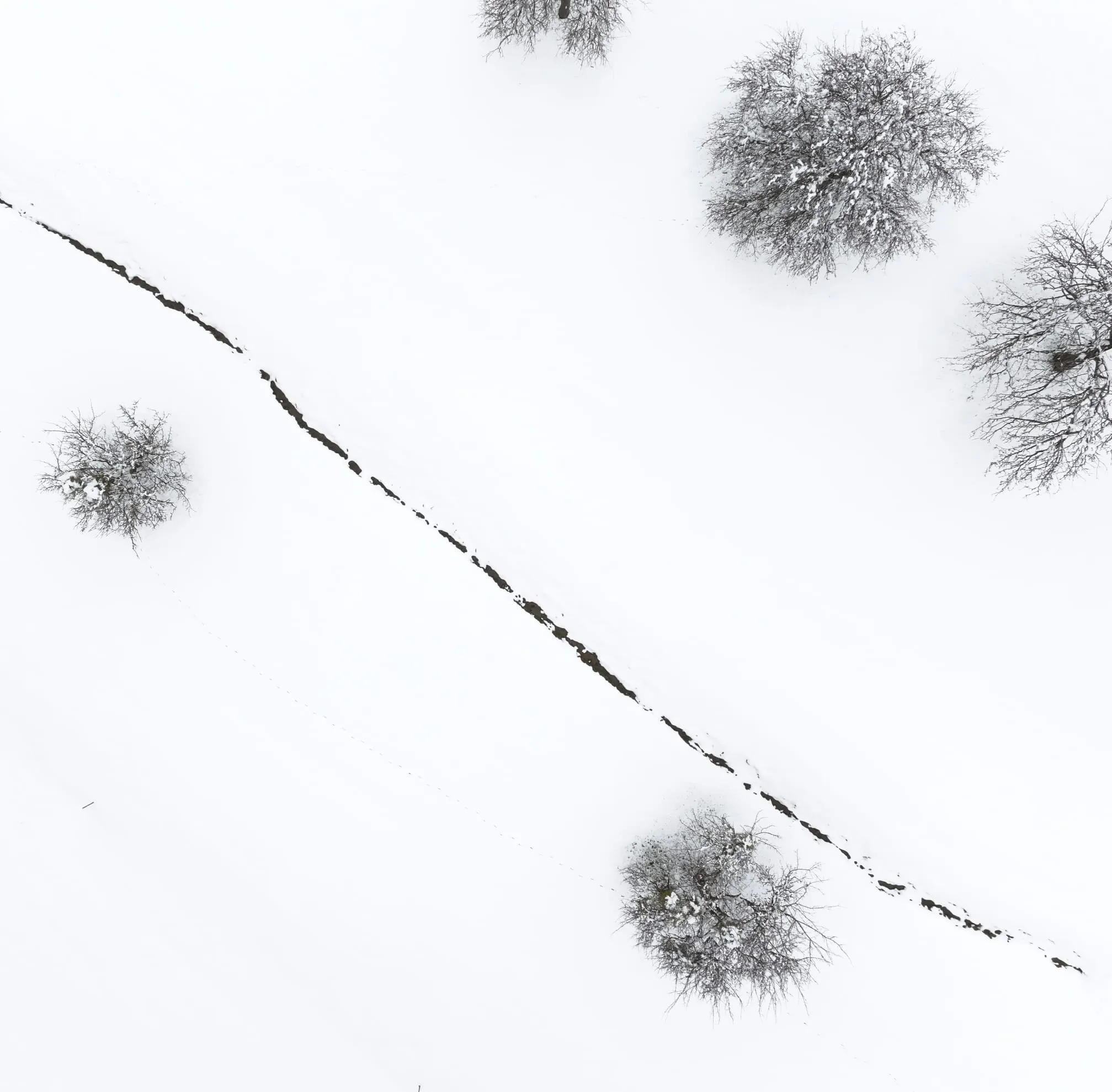 Senkrechte Luftaufnahme einer verschneiten Fläche mit vereinzelten kahlen Bäumen und einer dunklen Linie, die diagonal durch das Bild läuft