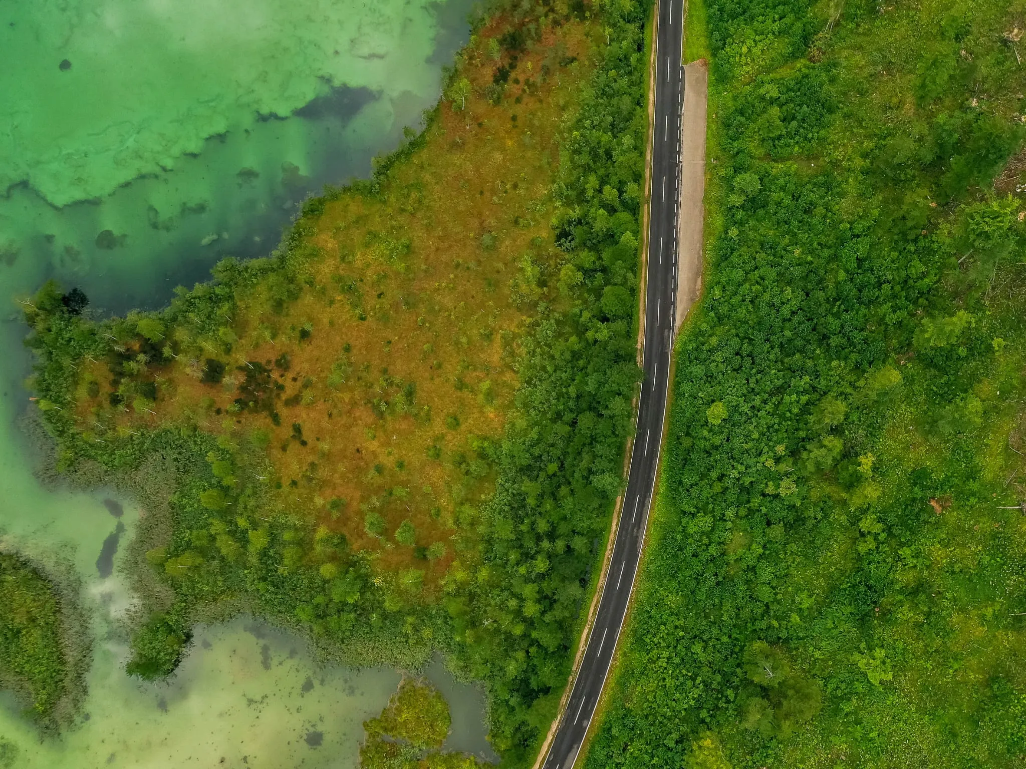 Senkrechte Luftaufnahme einer Straße zwischen dichtem Wald und einem türkisfarbenen See