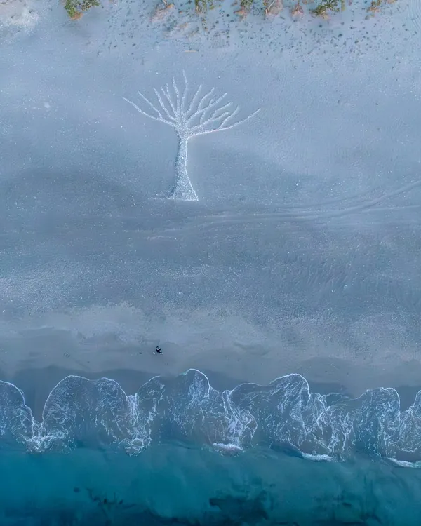 Senkrechte Luftaufnahme eines Strandes, in den Sand ist ein großer Baum gezeichnet, daneben brandende Wellen