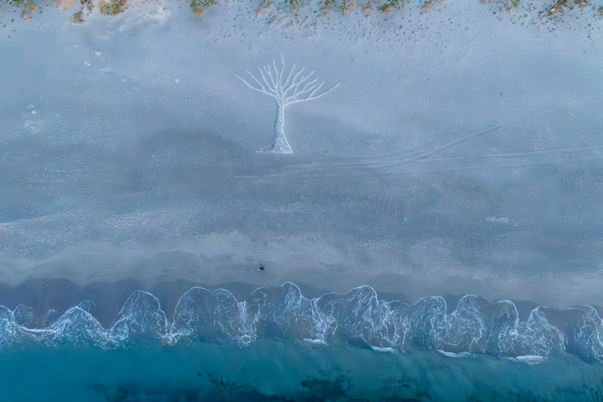 Senkrechte Luftaufnahme eines Strandes, in den Sand ist ein großer Baum gezeichnet, daneben brandende Wellen